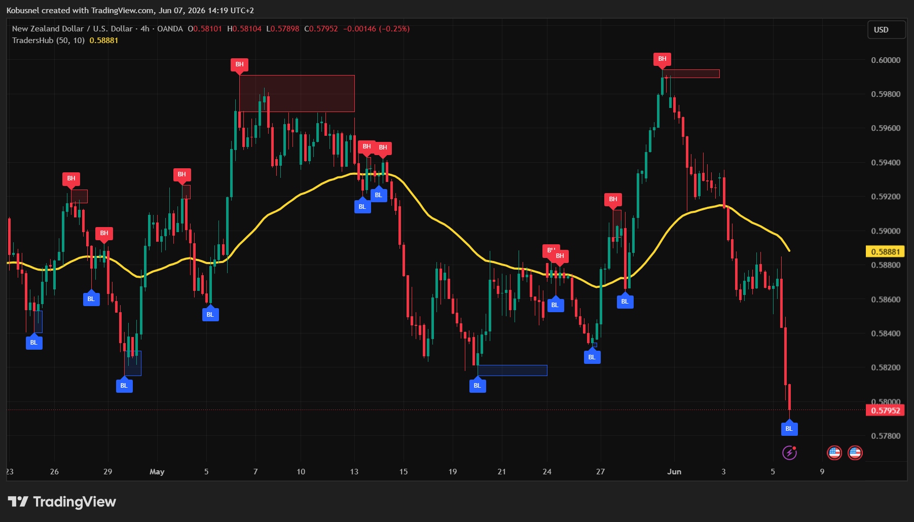 TradersHub Pro on NZDUSD 4-hour chart